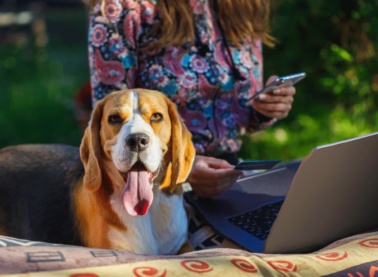 Payment Options Finchville Animal Hospital